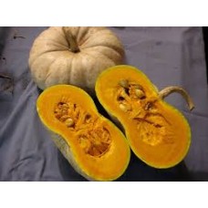 Flat White Boer Pumpkin