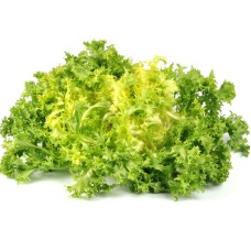Frisée