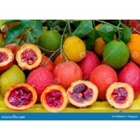 Gac Fruit