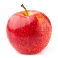 Gala Apple