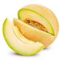 Galia Melon