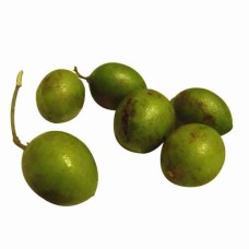 Genip
