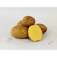 German Butterball Potato