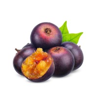 Governor’s Plum
