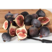 Grecian Fig