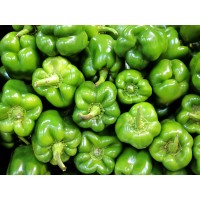 Green Pepper