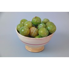 Greengage