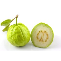 Guava