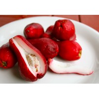 Hawaiian Mountain Apple