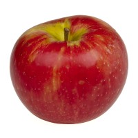 Honey Crisp Apple