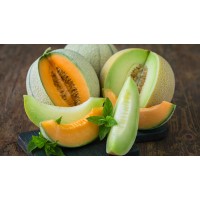 Honeydew Melon