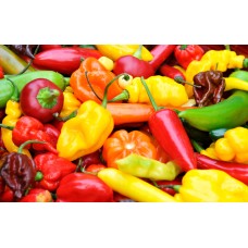 Hot Pepper