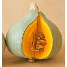 Hubbard Squash