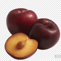 Indian Plum