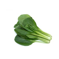 Japanese Mustard Greens