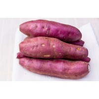 Japanese Sweet Potato