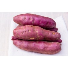 Japanese Sweet Potato