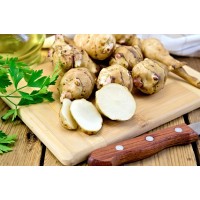 Jerusalem Artichoke
