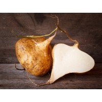 Jicama