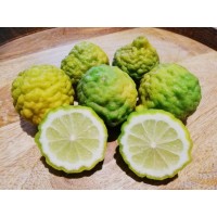 Kaffir Lime