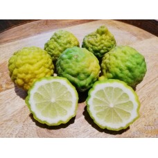 Kaffir Lime