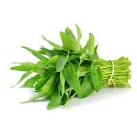 Kangkong
