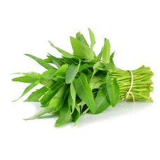 Kangkong