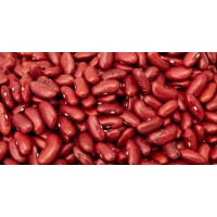 Kidney Bean