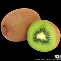 Kiwi