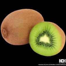 Kiwi