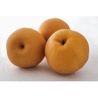 Korean Pear