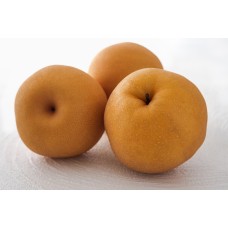 Korean Pear