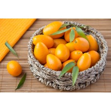 Kumquat