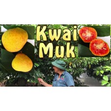 Kwai Muk