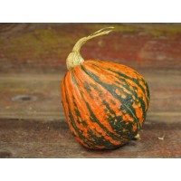 Lakota Squash