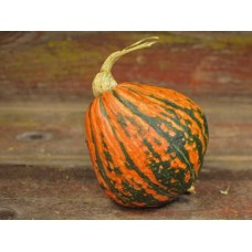 Lakota Squash