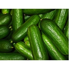 Lebanese Cucumber