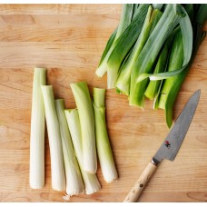 Leek