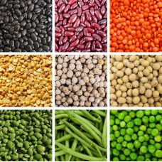 Legumes