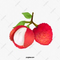 Lychee