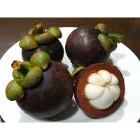 Mangosteen
