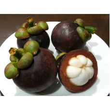 Mangosteen