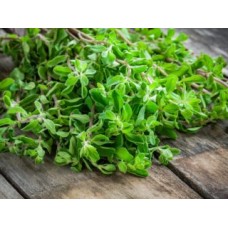 Marjoram