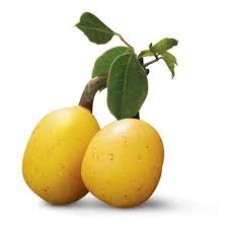 Marula