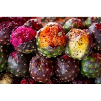 Mexican Pitahaya