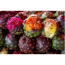 Mexican Pitahaya