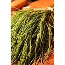 Monks Beard