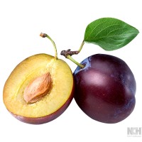 Murray’s Plum