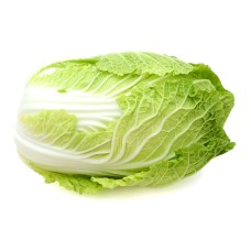 Napa Cabbage