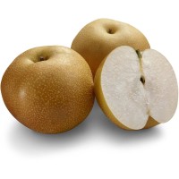 Nashi Pear